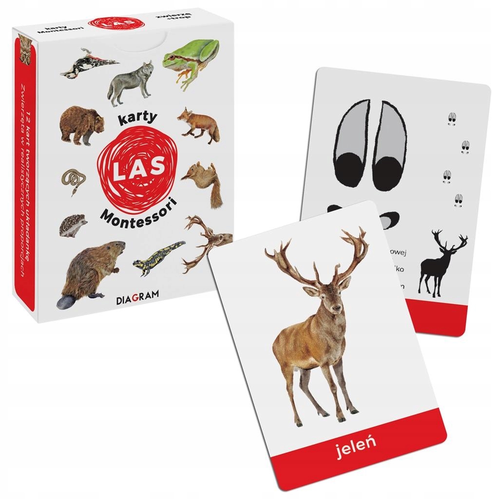 Karty Montessori. Las Maja Dusik Diagram