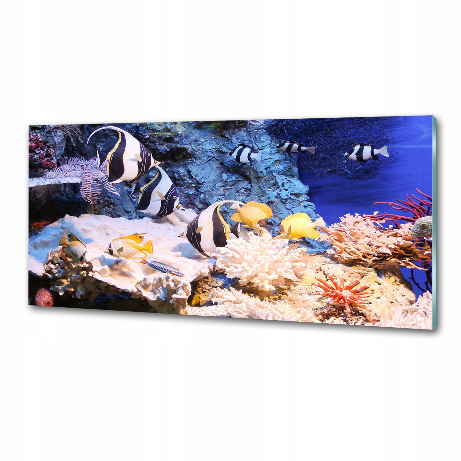 Dekoračný panel Koralový útes 125 x 50 cm Lepidlo