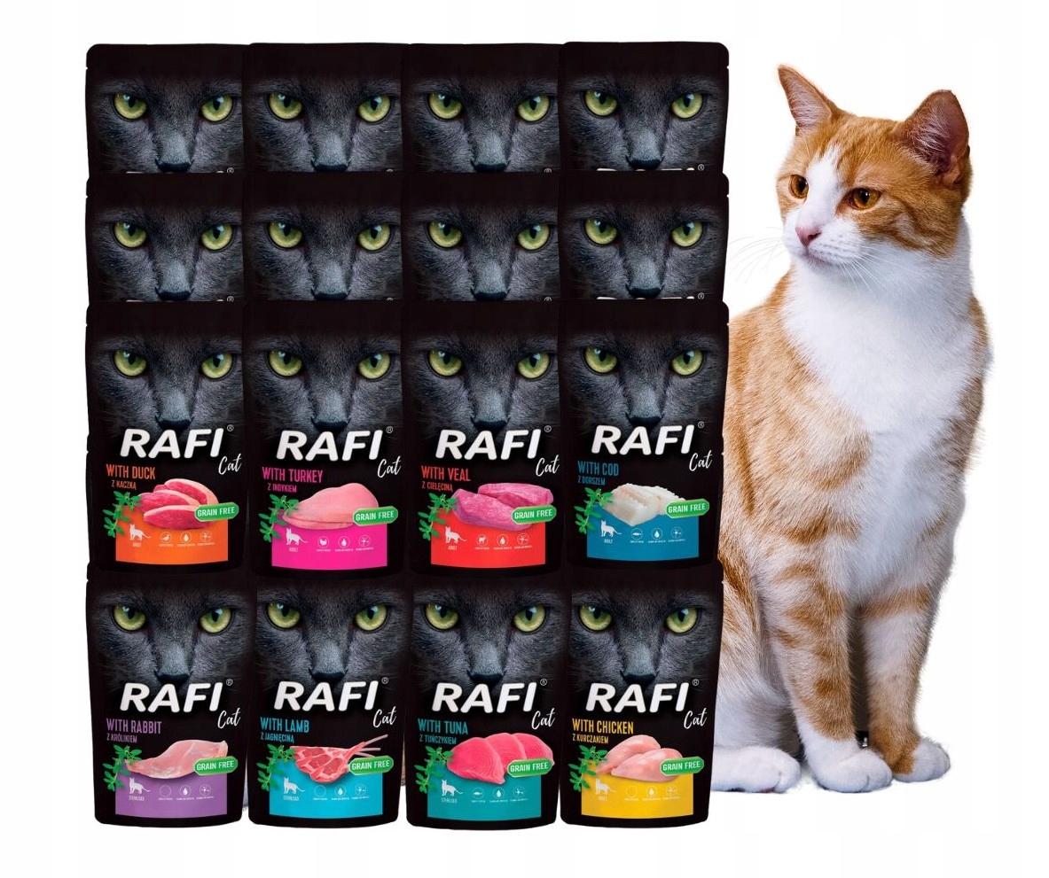 Levně Rafi mokré krmivo pro kočky mix chutí 24x100g Nové Příchutě Dolina Noteci