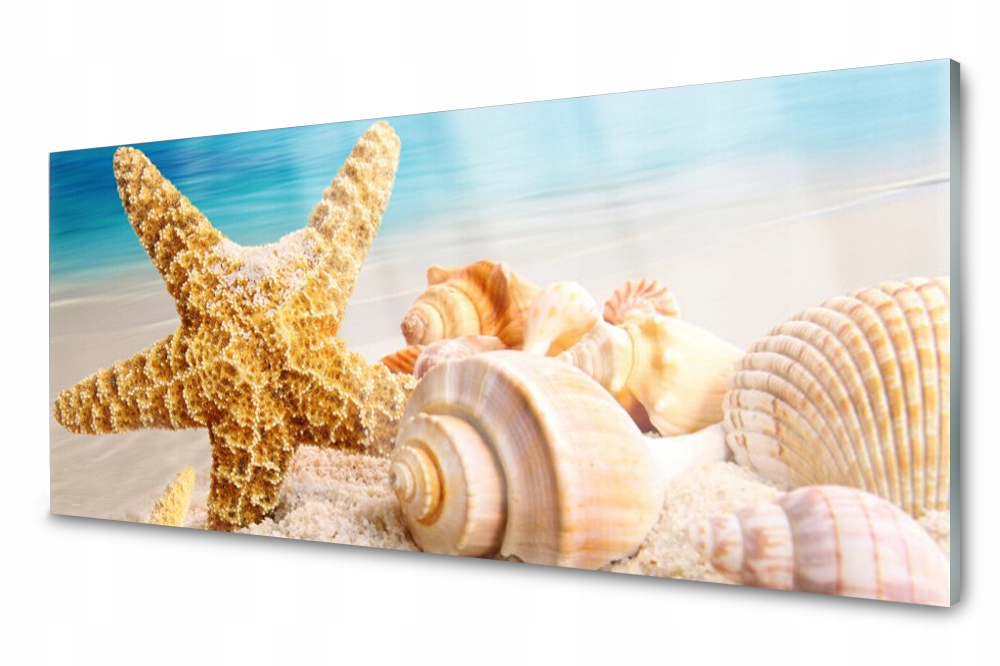 

Panel szklany do kuchni Rozgwiazda Muszla 125x50