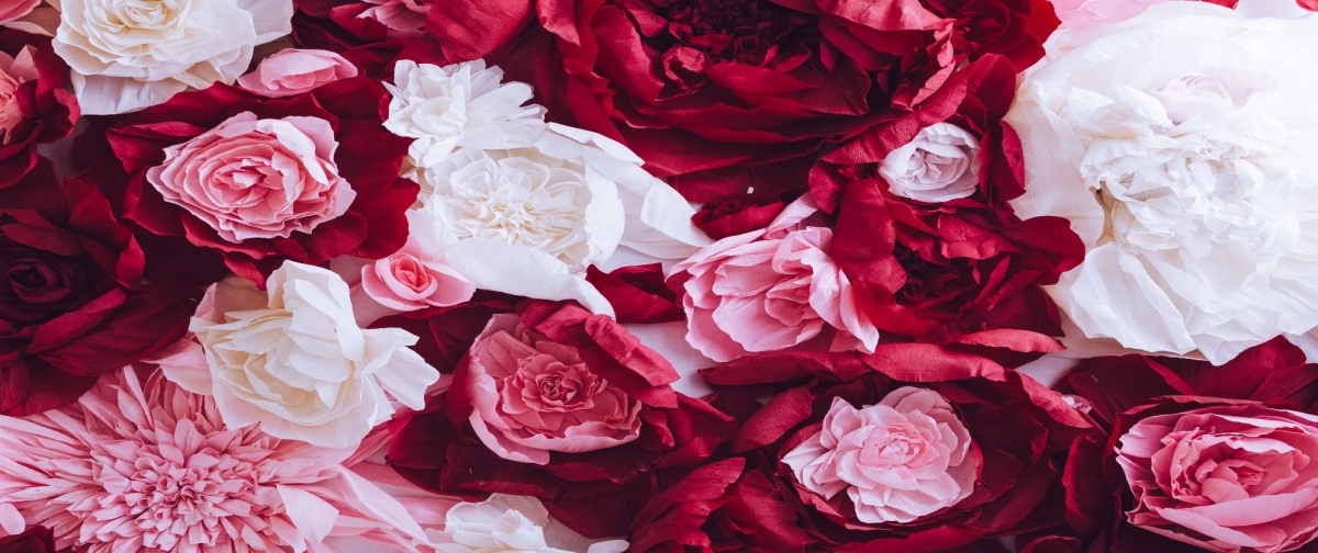 

Fototapeta Flizelinowa Papierowe róże - 250x104