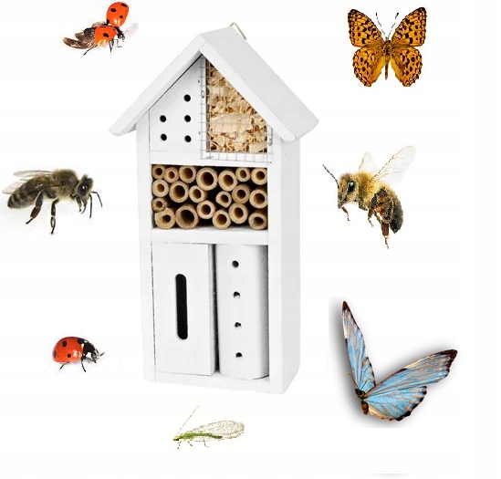 

Budka Lęgowa Hotel Domek Dla Owadów Motyli Biały J