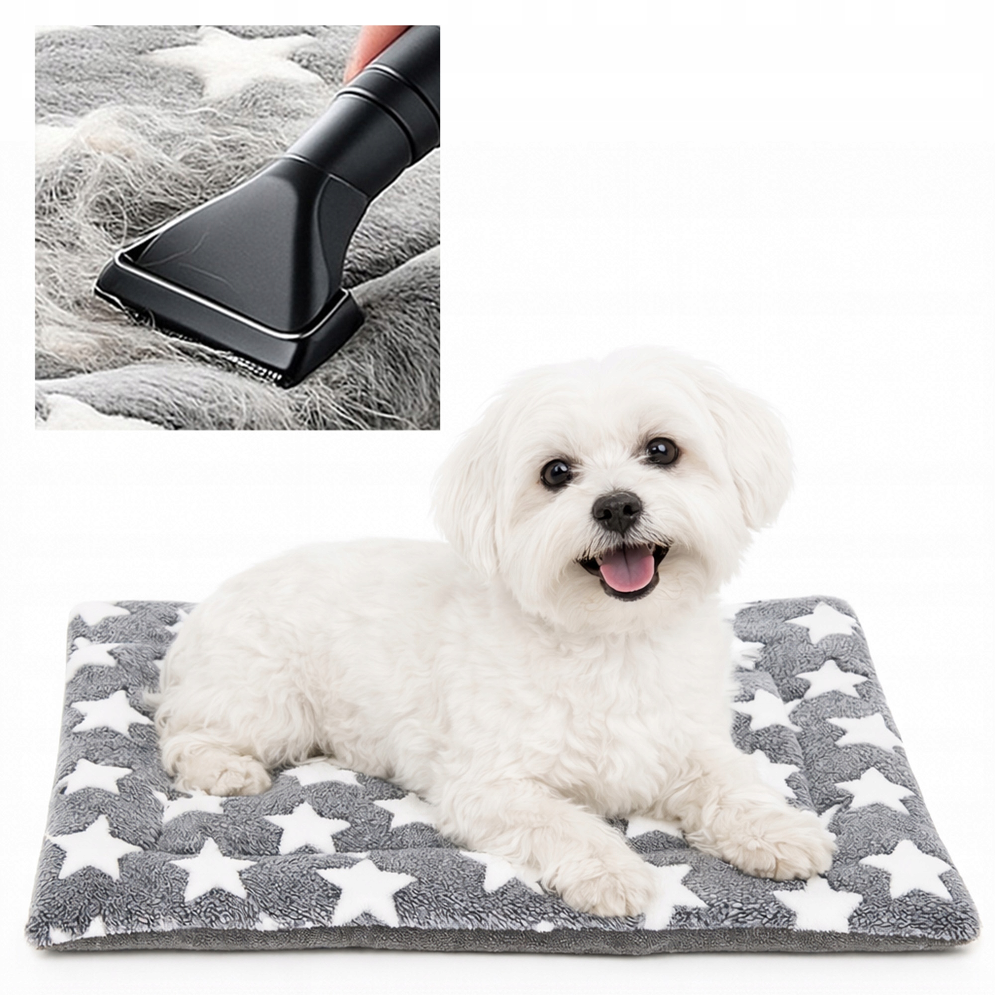 Levně Podložka pro psa nebo kočku pelíšek 60 x 40 cm hvězdičky