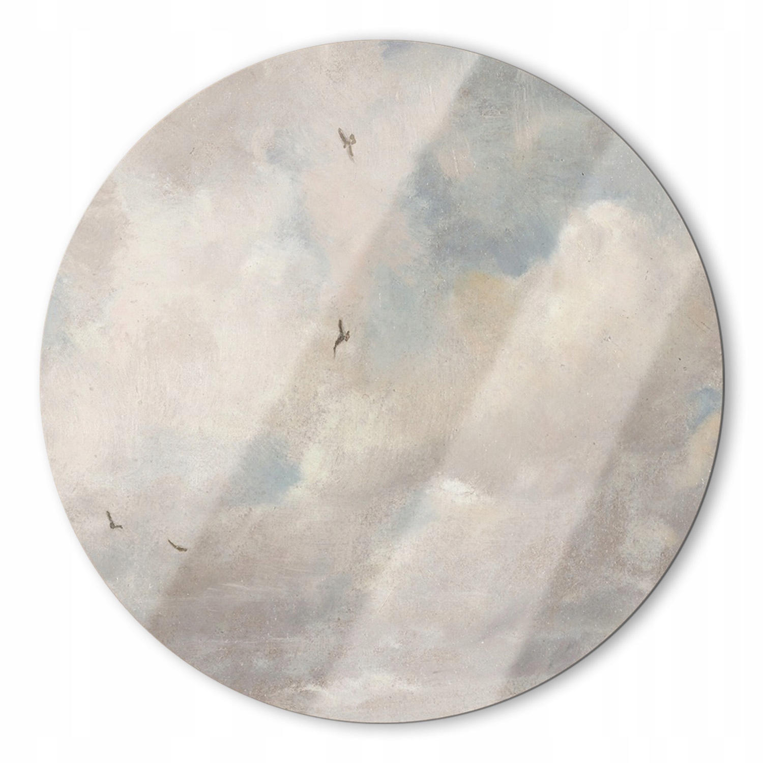 Fotoobraz tvrdené sklo Zamračené nebo vtáky 70