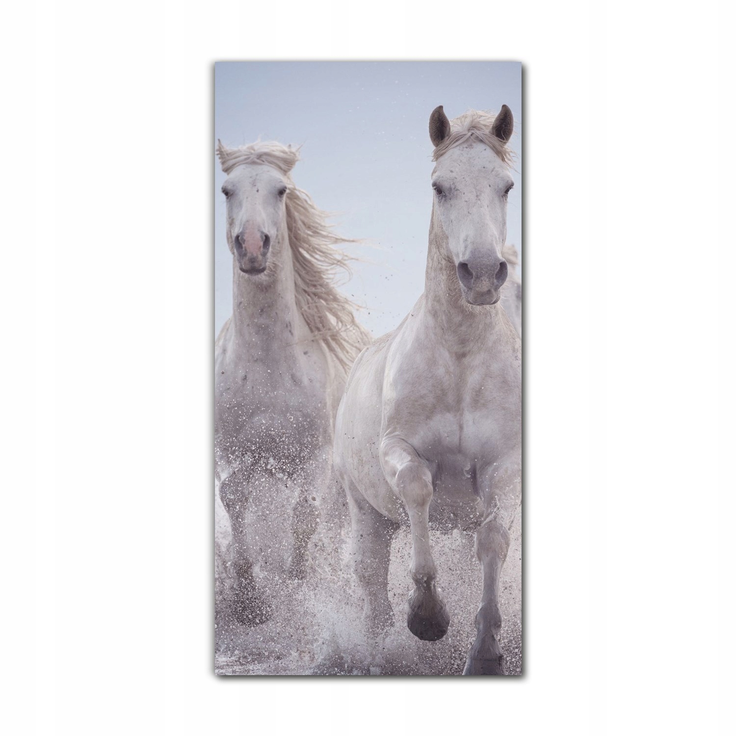

Foto-obraz na szkle do kuchni 70x140 Konie galop