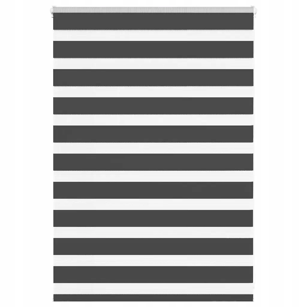 Zebra roleta černá 105x100 cm šířka látky 100,9 cm polyester Černý 4014210