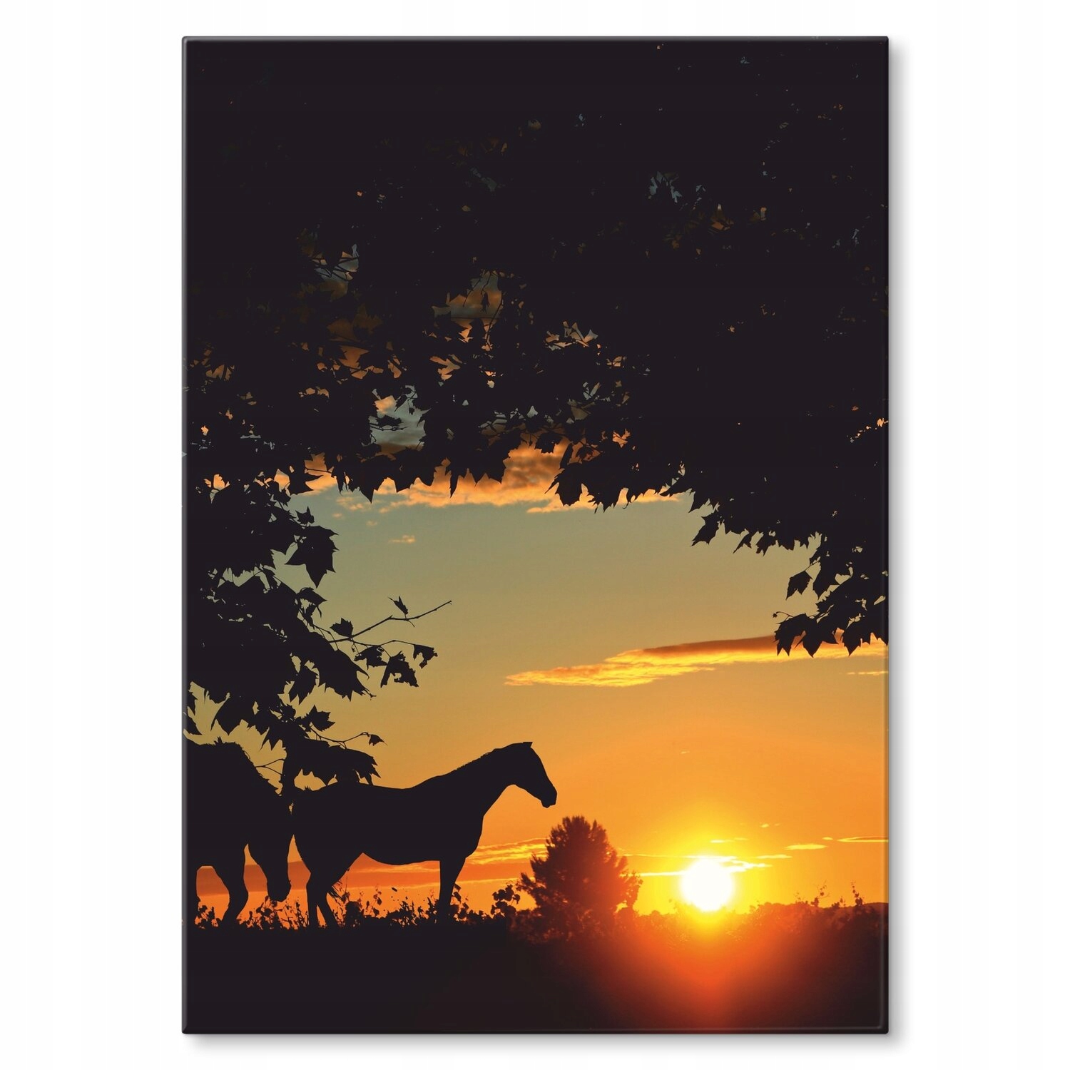 Kovový plakát Západ slunce a koně Šidítko Plech 30 x 42 cm Dárek