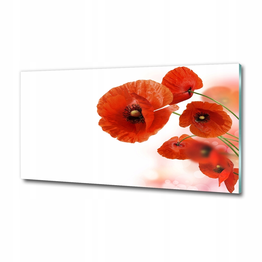 Skleněný fotoobraz na zeď Maki 120x60
