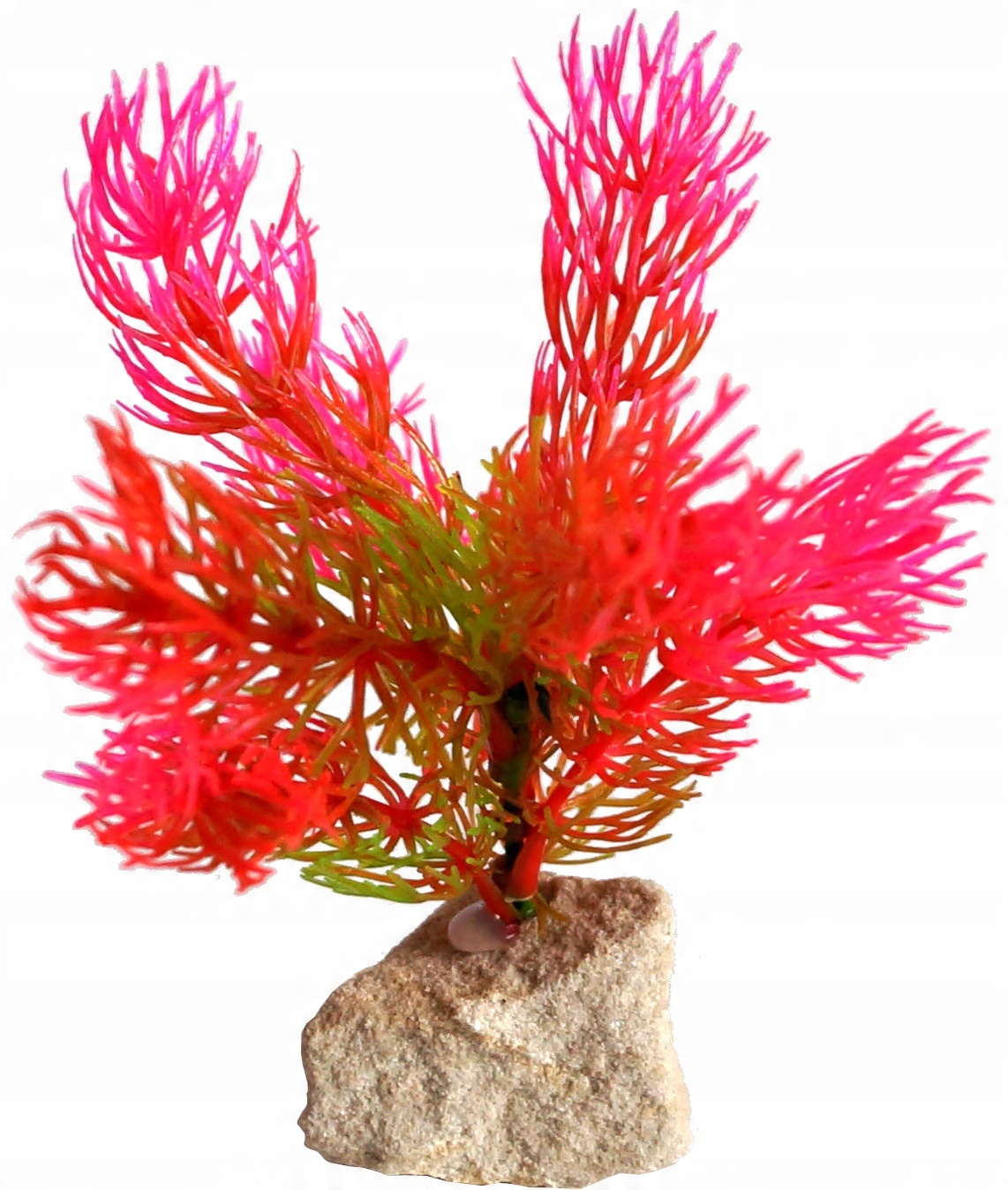

dekoracyjna roślina sztuczna do akwarium 14cm M.57