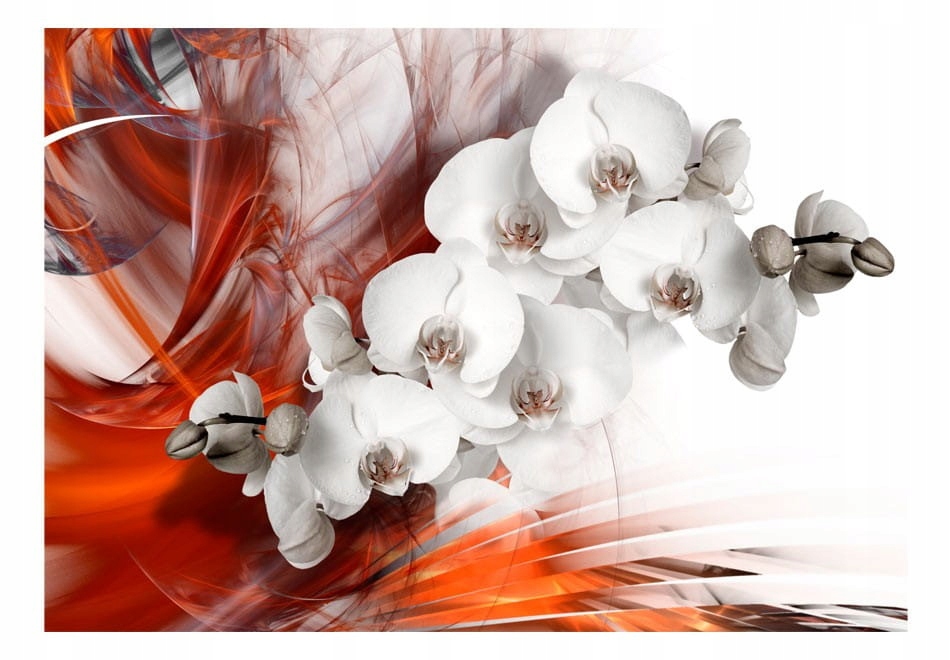 

Fototapeta - Orchidea w ogniu II - 200X140
