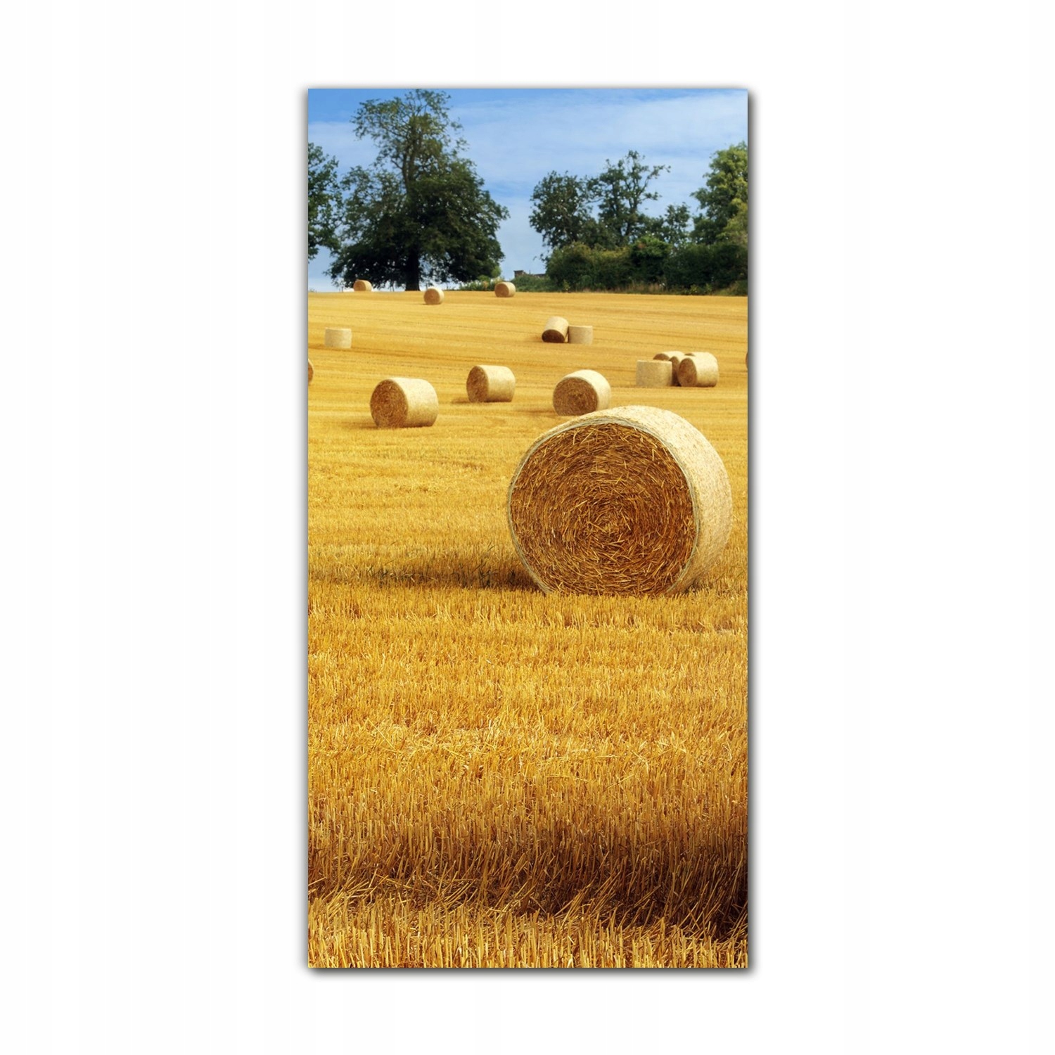 

Foto-obraz ścienny grafika 70x140 Drzewa rośliny