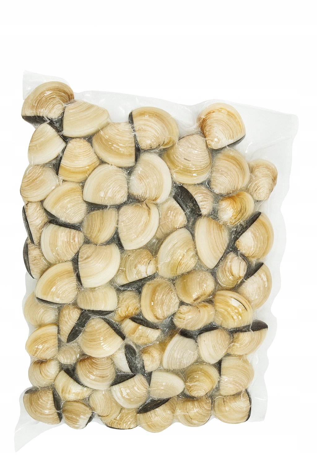 Małże Vongole gotowane w muszli mrożone delikatna glazura 2 kg Suchy lód