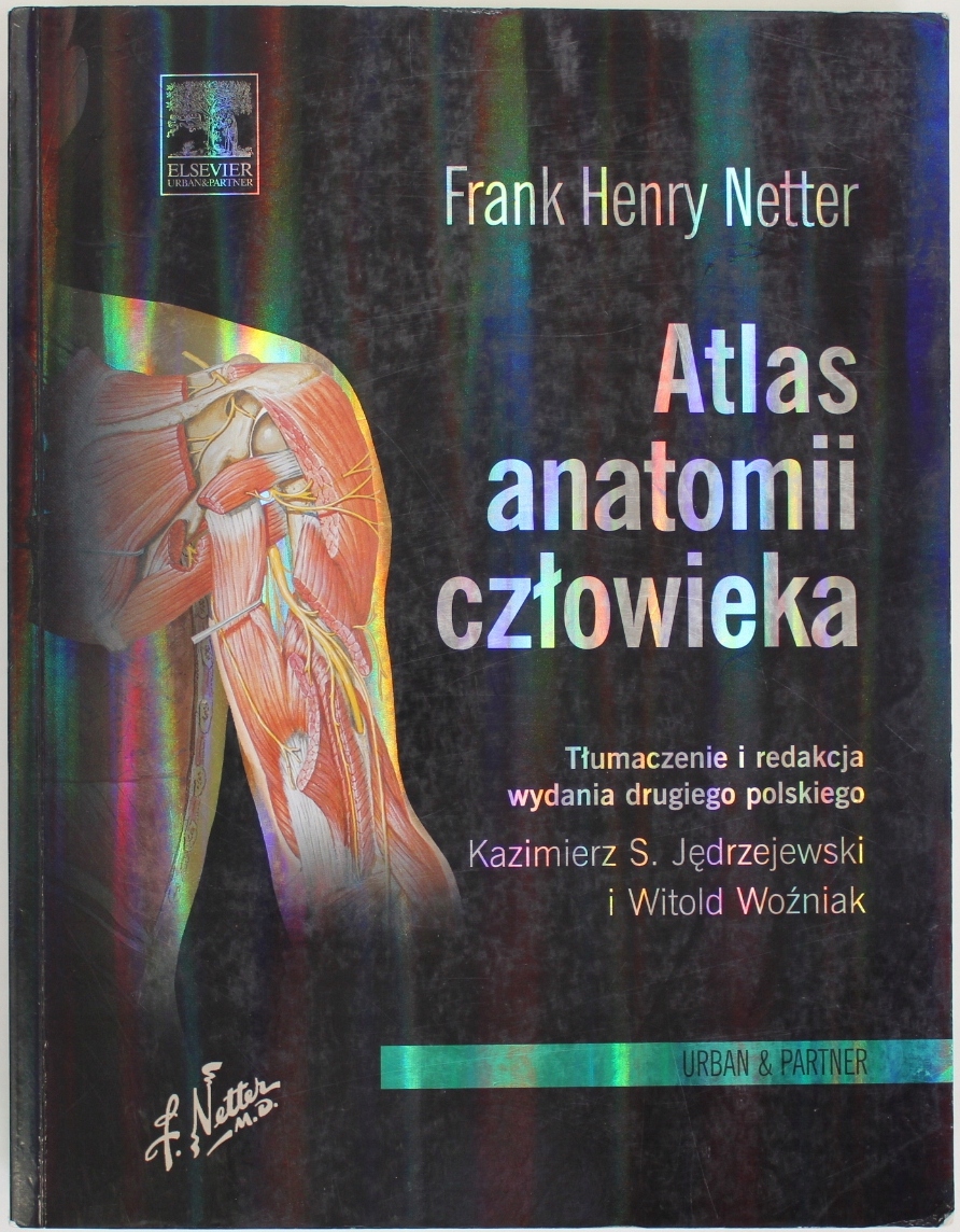 cookie ANATOMICA × JONATHAN RICHARD cookie ANATOMICA × JONATHAN RICHARD cookie ANATOMICA