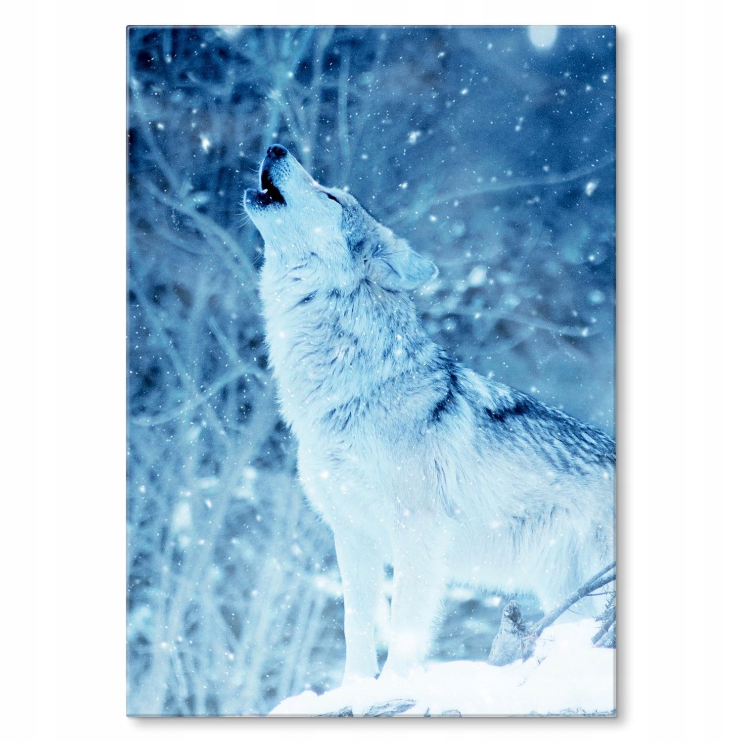 Kovový plakát Winter wolf Dárek 30 x 42 cm