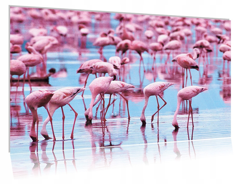 

Obraz szklany na szkle Flaming 01 30x20