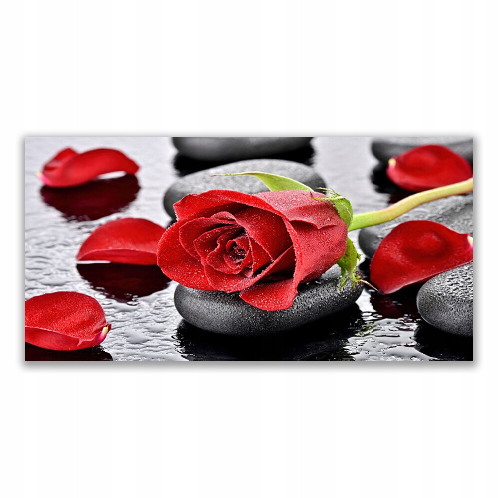 

Fotoobraz akryl wiszący 140x70 Czerwona Róża Kwiat