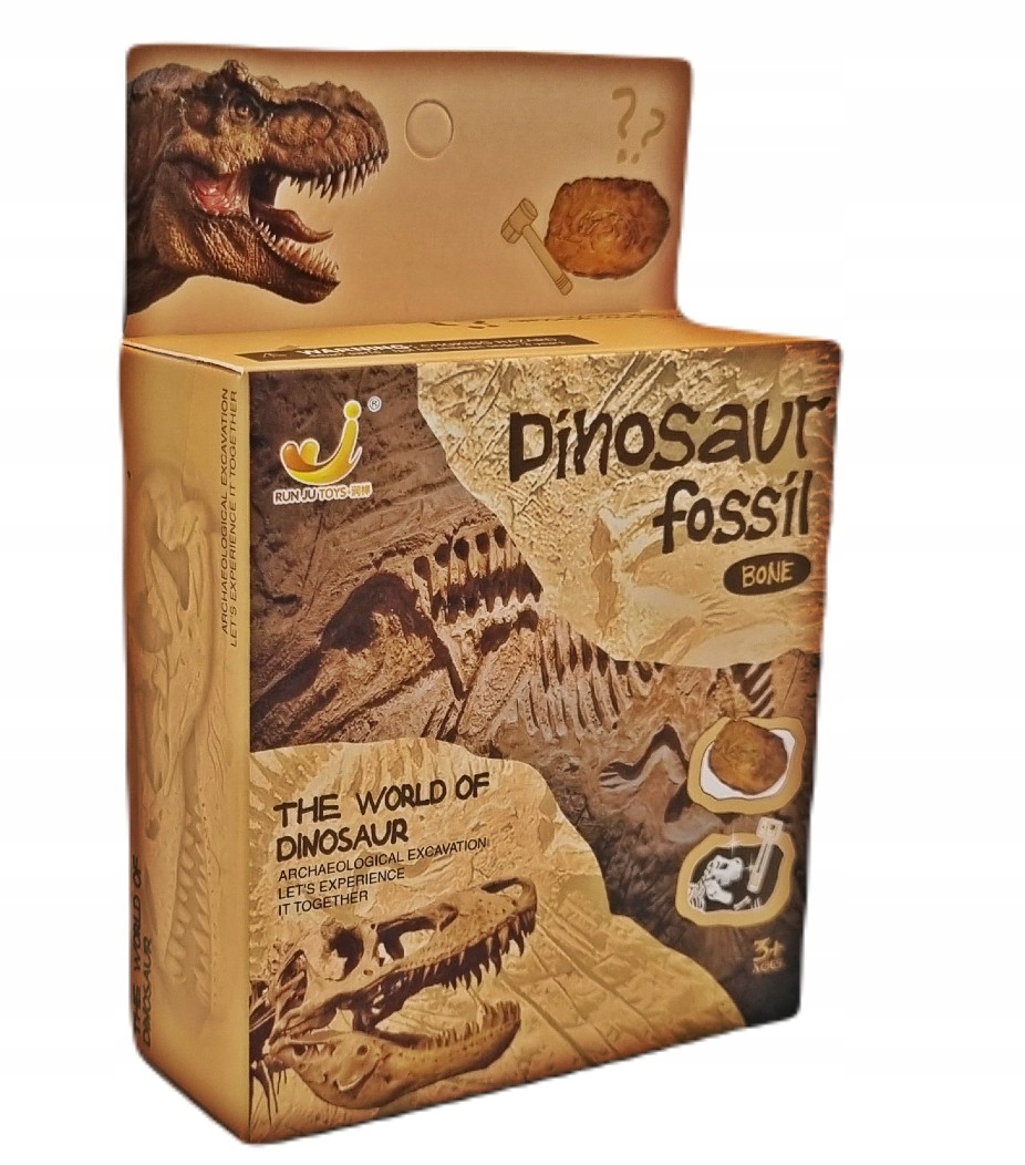 

Dinozaur Wykopaliska Skamielina Szkielet Młotek