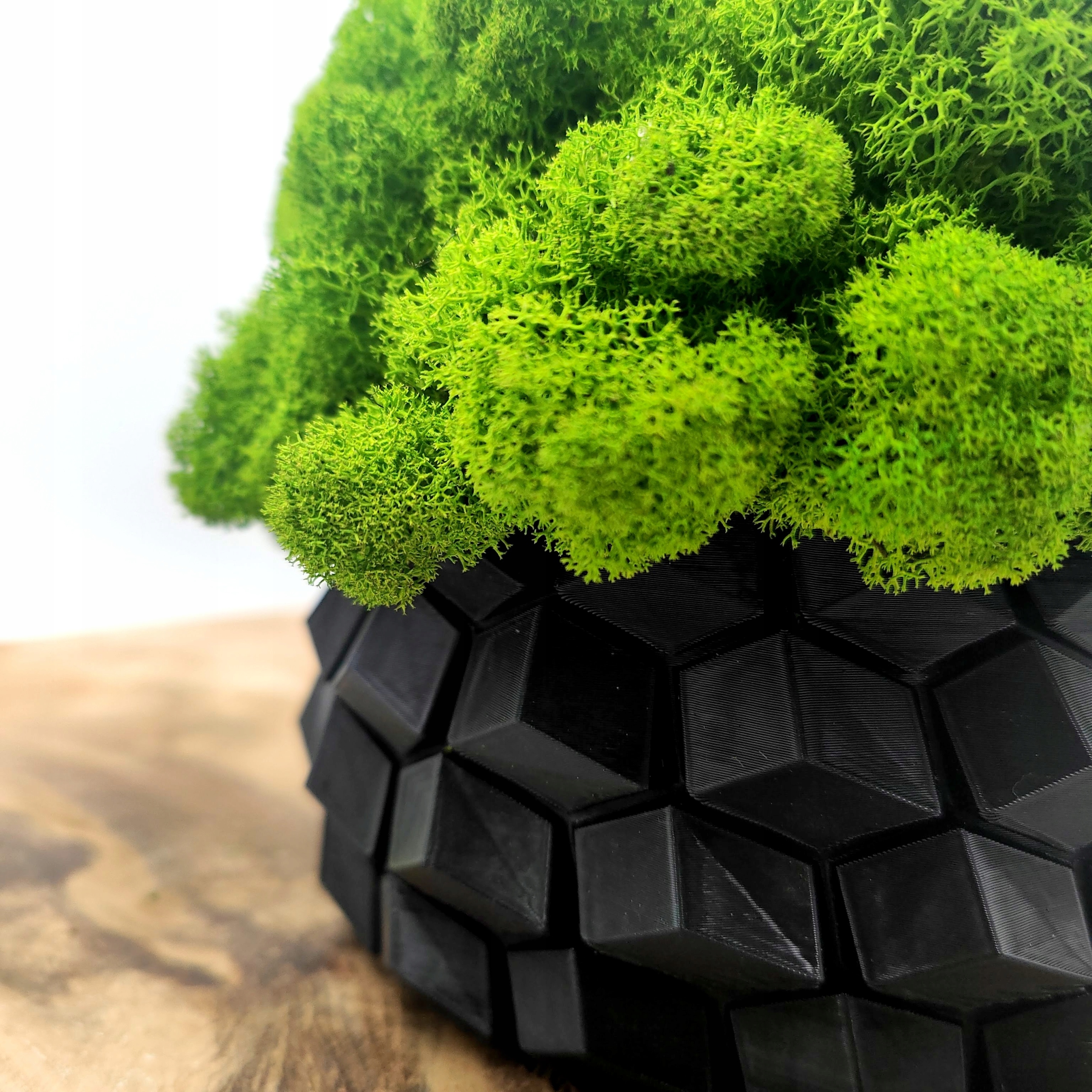 Doniczka z mchem chrobotkiem MECH CHROBOTEK w doniczce czarna druk 3d Szerokość produktu 18 cm