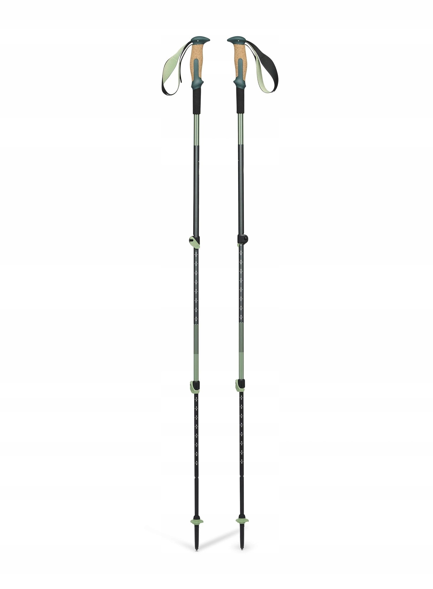 Kije trekkingowe Black Diamond Trail Vista Shock zielone