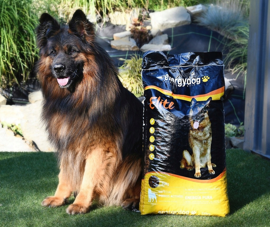 Levně EnergyDog Elite – vysoce energetické krmivo pro dospělé psy o hmotnosti 18 kg