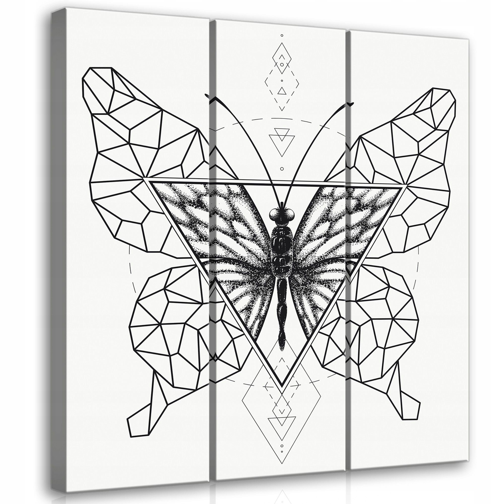 Obraz 90x100 Geometrický motýl modulární triptych minimalismus umění