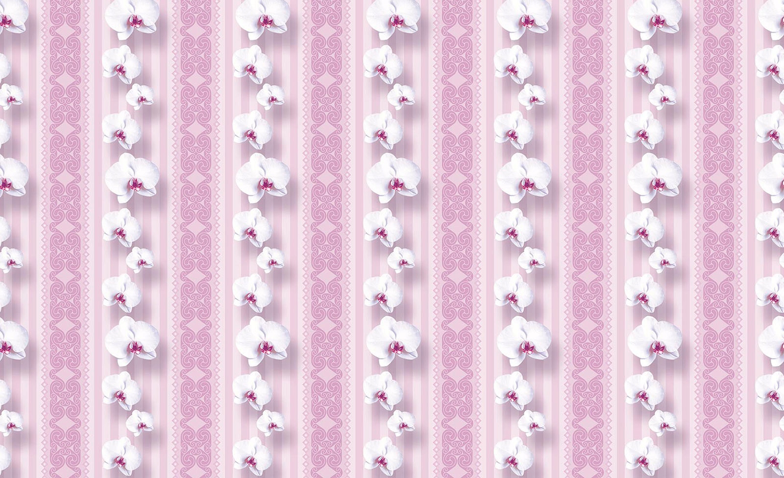 Fototapeta Orchideje růže pruhy vzory elegance jemnost 300x210 lepidlo