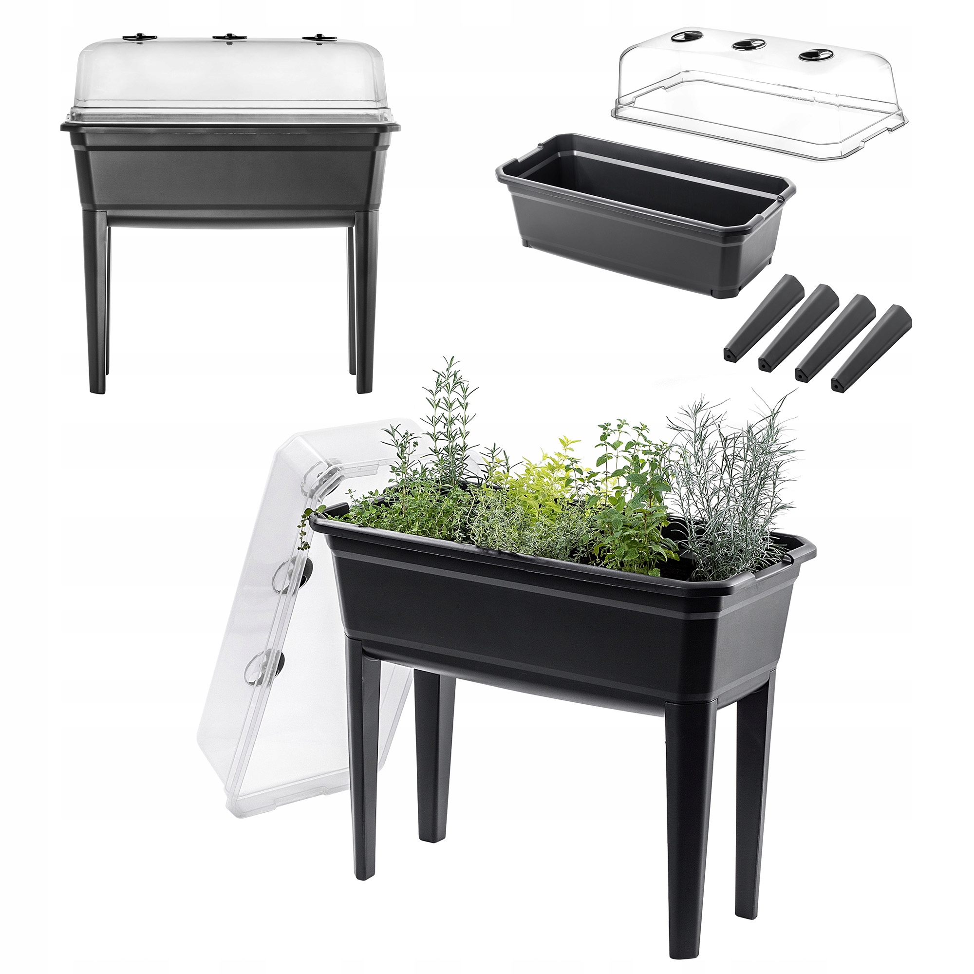 Velký Mini Skleník Miniskleník Domácí Skleník Sadby 75cm 42L