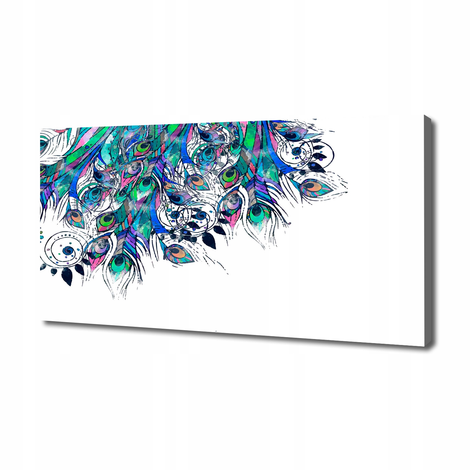 

Foto obraz canvas na ścianę Pawie pióra 140x70 cm