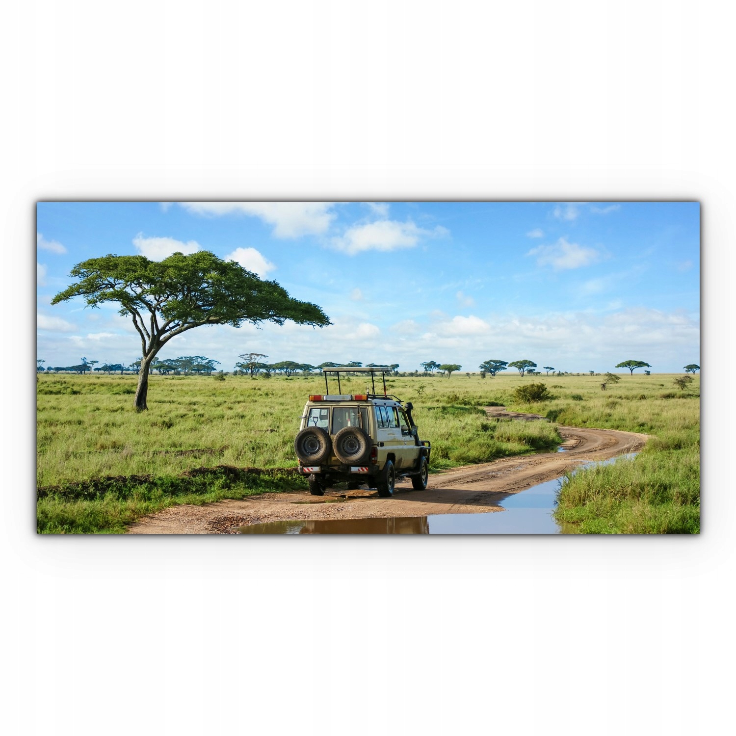 

Obraz płótno canvas 120x60 Safari Afryka Krajobraz