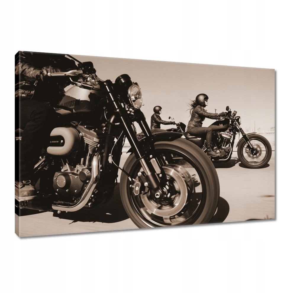 

Obrazy 90x60 Harley Davidson Motocykl