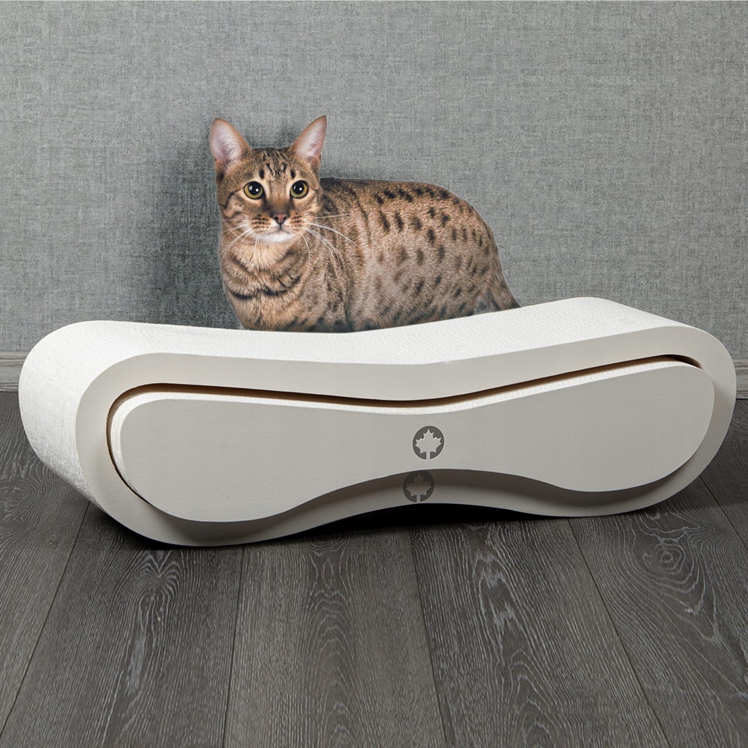 Sada Orbit Satellite Škrabadlo Pro Kočky Canadian Cat| White Edition B