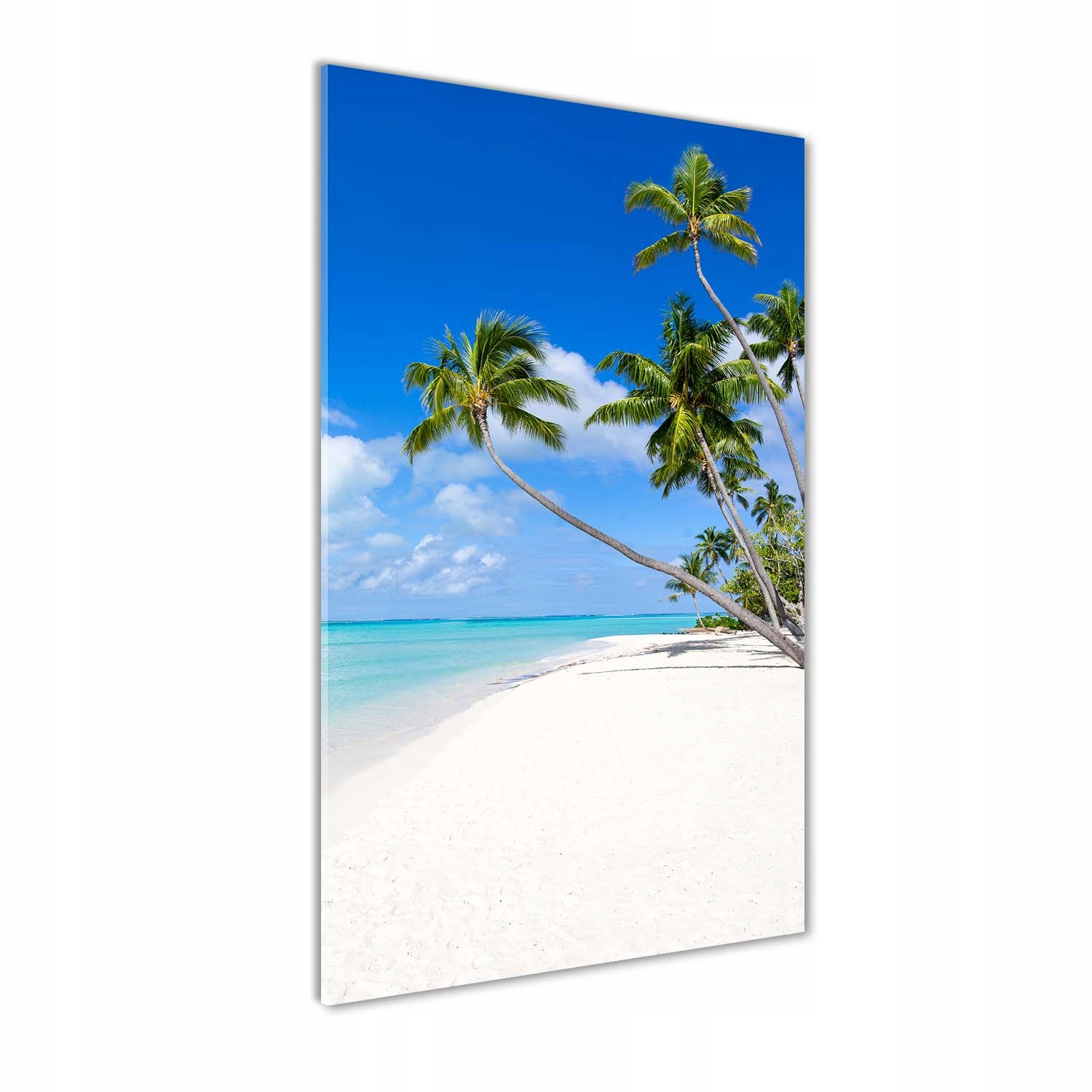 Foto obraz akrylové sklo Tropická pláž 60x120