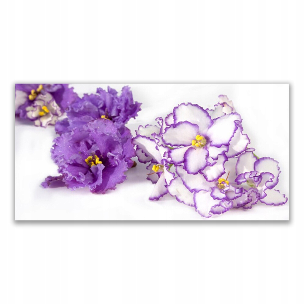 

Fotoobraz z grafiką 120x60 cm Kwiat Roślina Natura