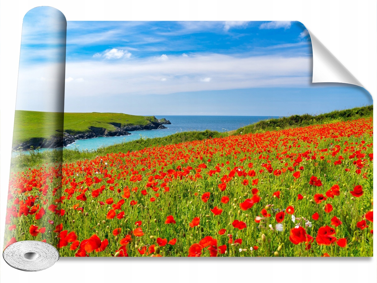 

Fototapeta Samoprzylepna Pole maków 152x104