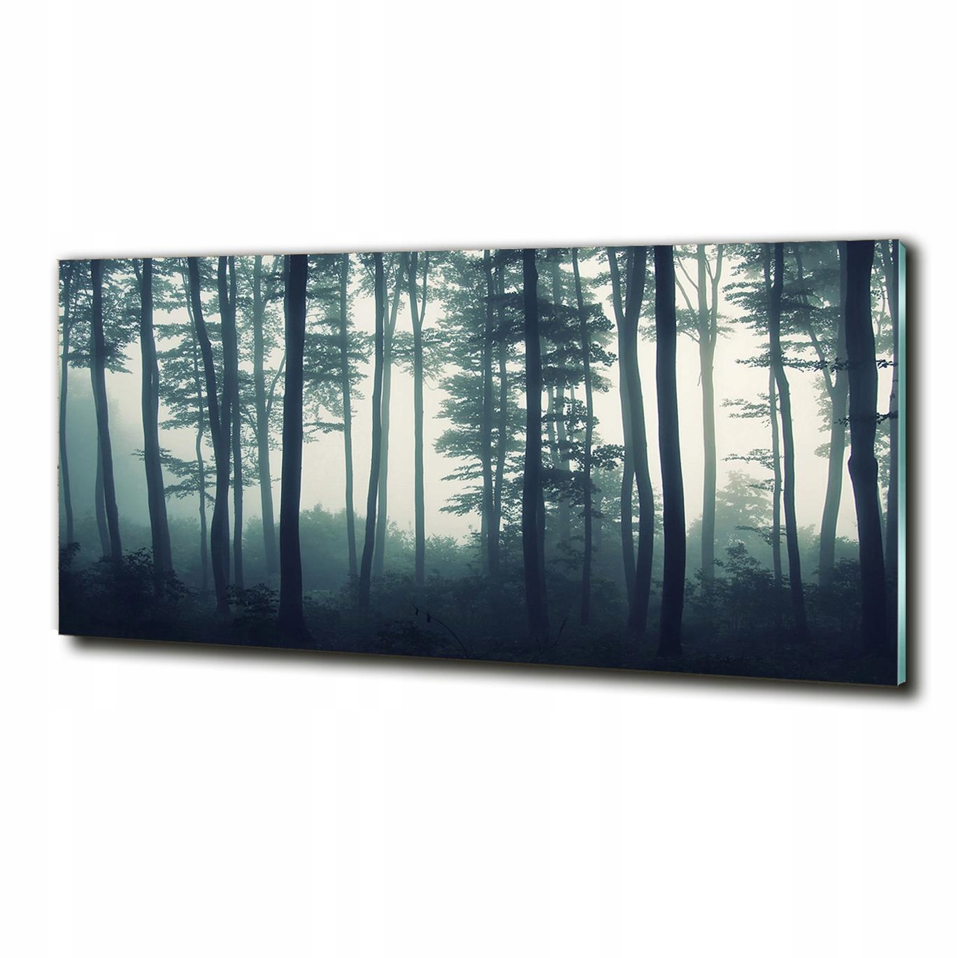 

Foto szklany na ścianę obraz Las we mgle 125x50