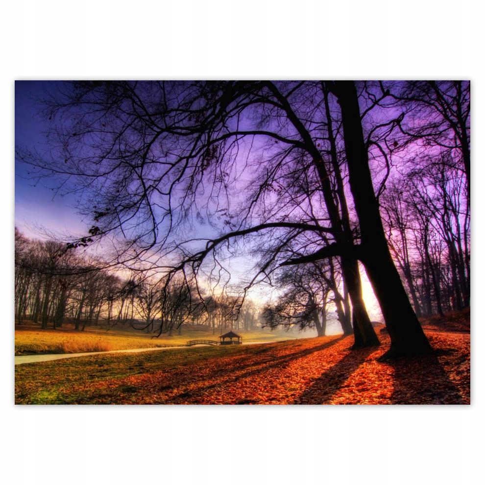 

Naklejki 70x50 Park w Wąsowie