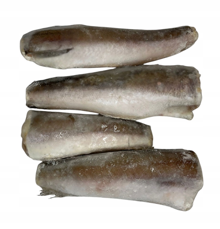 Morszczuk Argentyński Tusza Tusze 5kg Mrożony Dzika Ryba