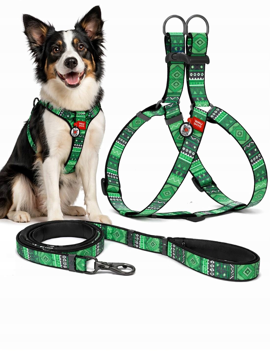 Sada pro psa Postroj a Vodítko s adresou Qr M Waudog