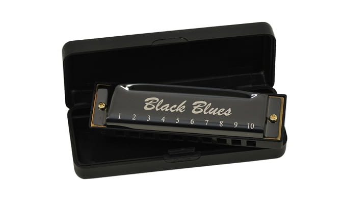 HARMONIJKA USTNA DIATONICZNA C-DUR + SAMOUCZEK + ! Marka Ever play