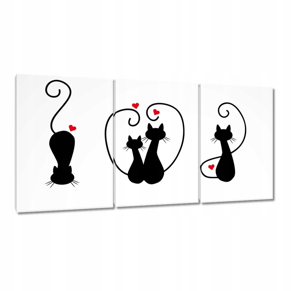 

Obrazy 120x60 Kotek Kotki Koty Kicia