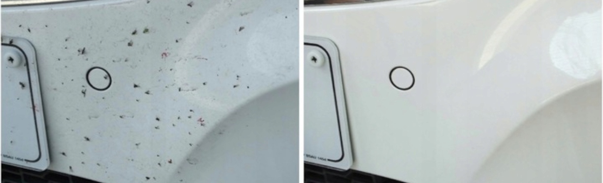 Shiny Garage Bug Off Preparat usuwanie owadów 0,5l Numer katalogowy producenta Shi000023