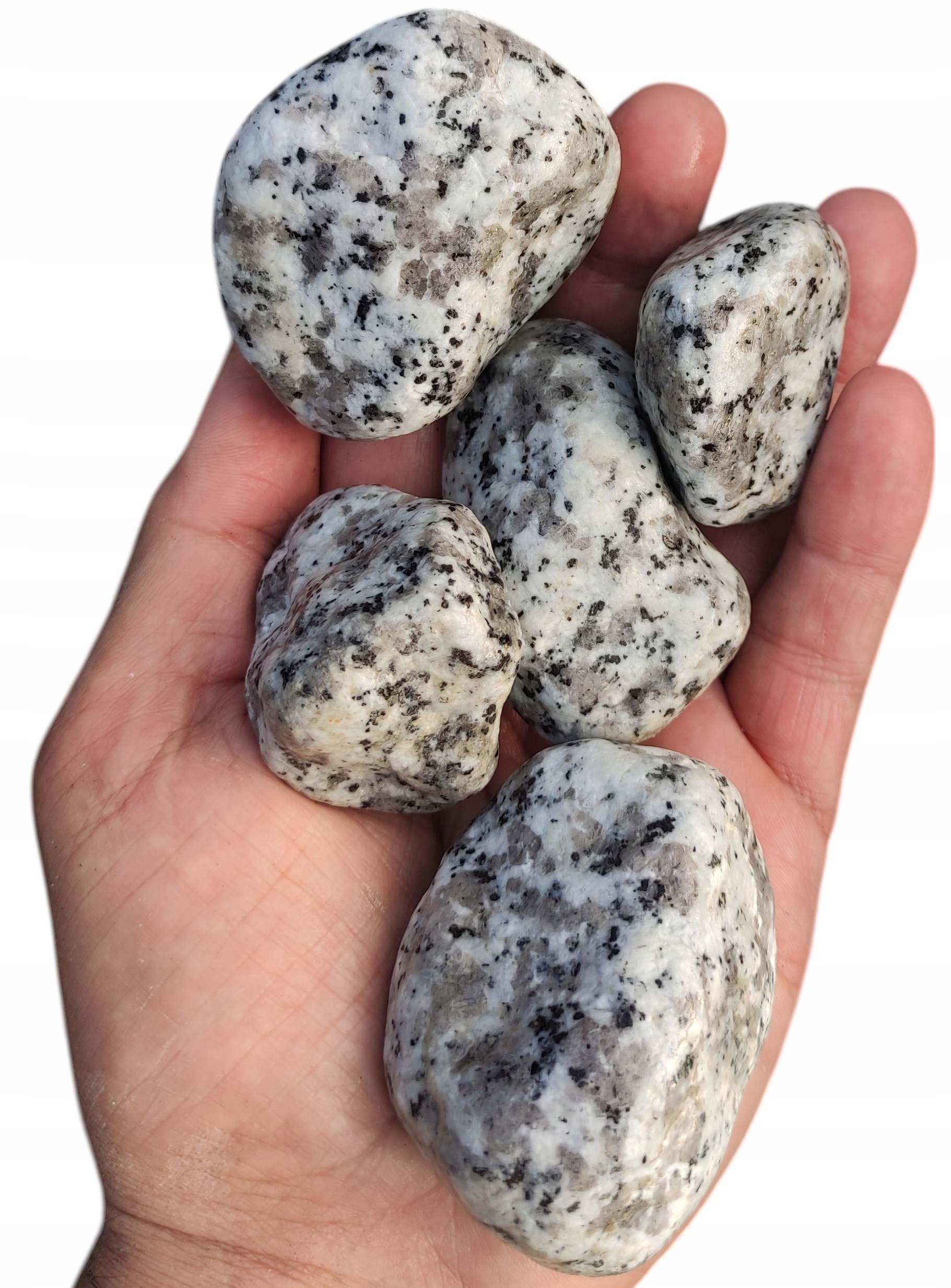 Oblázek granitově šedý dalmatin 30-60 mm oblázky do zahradního jezírka 20 kg