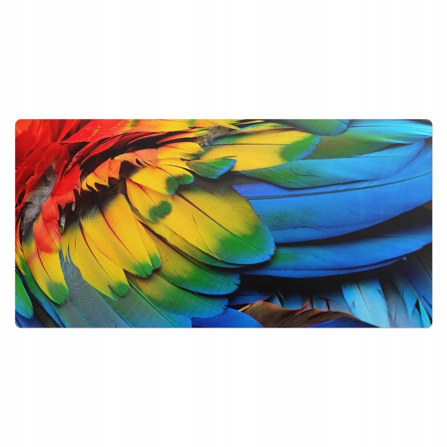 Podložka Ochranná podložka Psací stůl Vícebarevná křídla papouška 100x50 cm