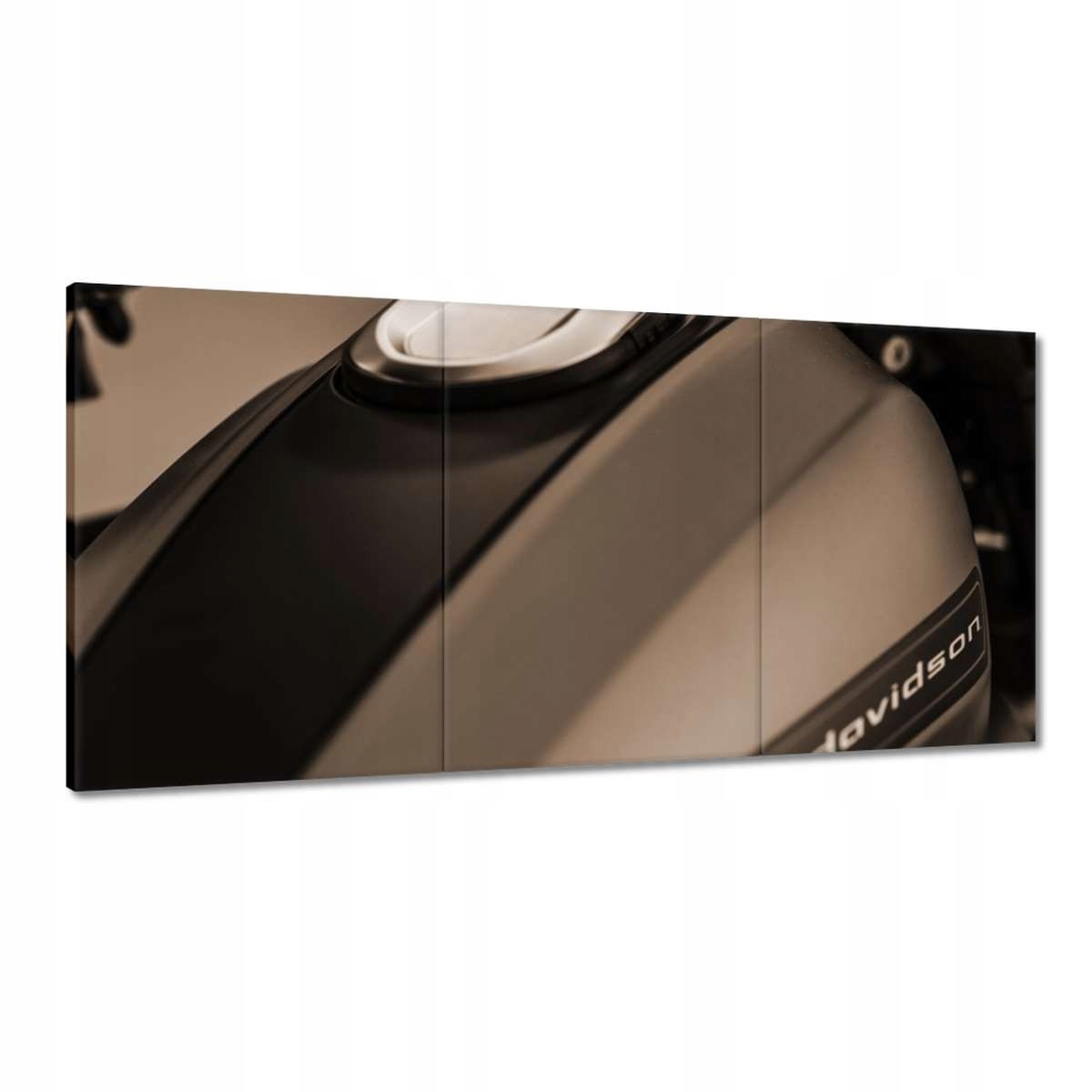 Obrazy 180x90 Harley Davidson Motocykel