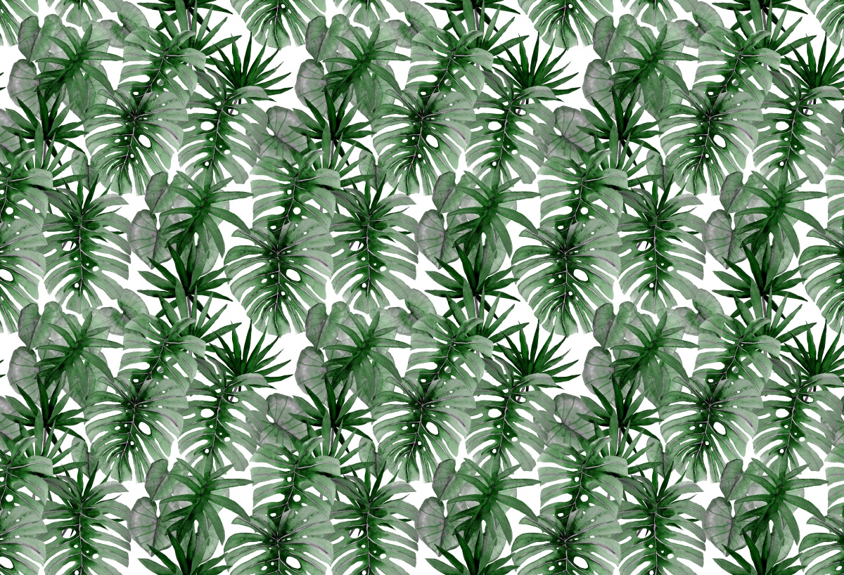 

Tapeta Flizelinowa Tropikalna Monstera - 104x70