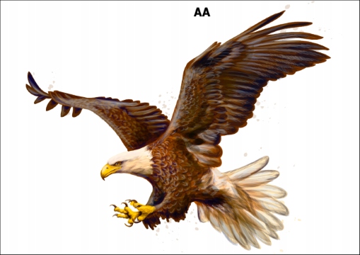 

PK16AA Tatuaże tymczasowe Orzeł ptaki zwierzęta