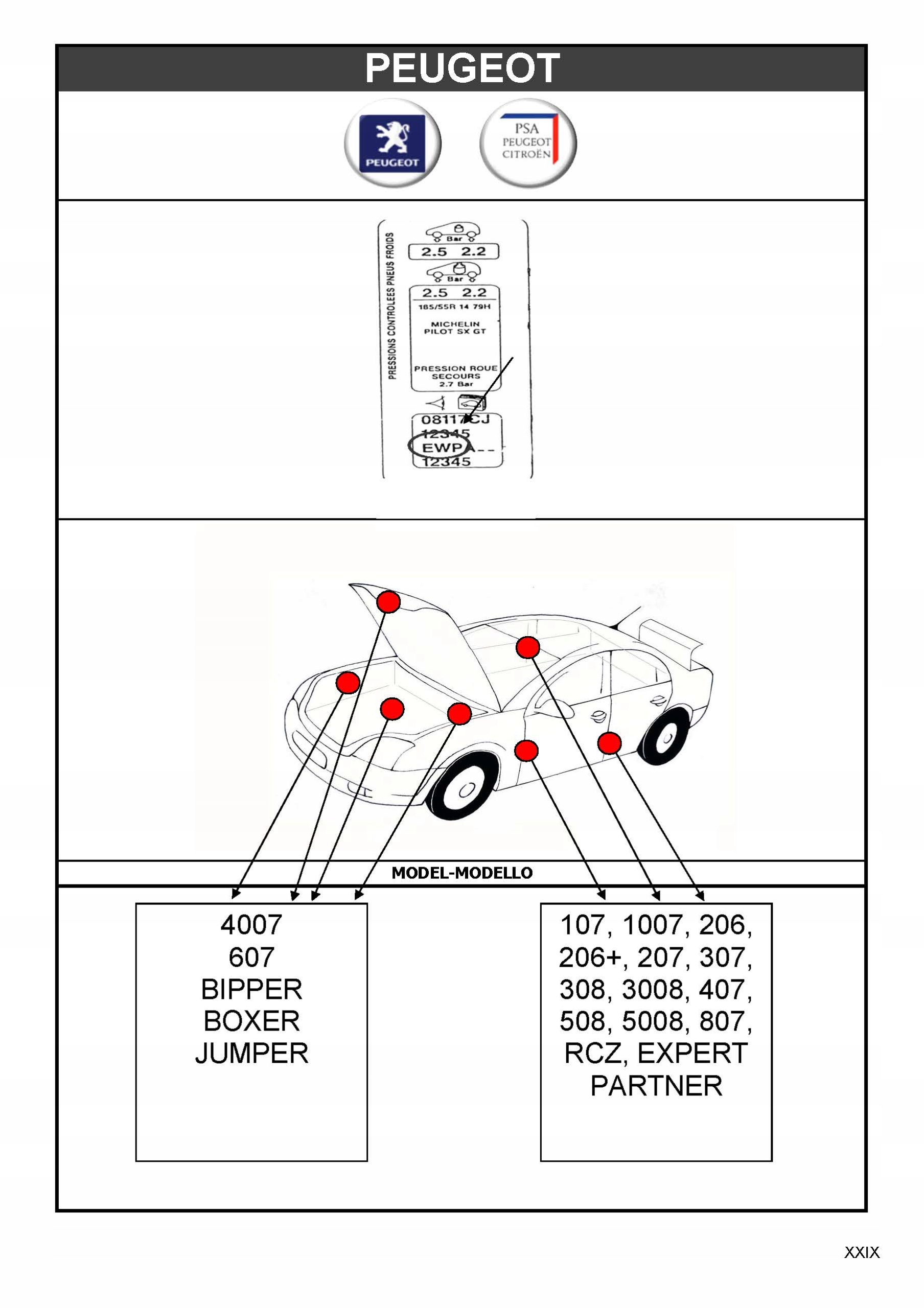 ZAPRAWKA PEUGEOT CITROEN KWE BLANC NACRE EFFECT Rodzaj zaprawki