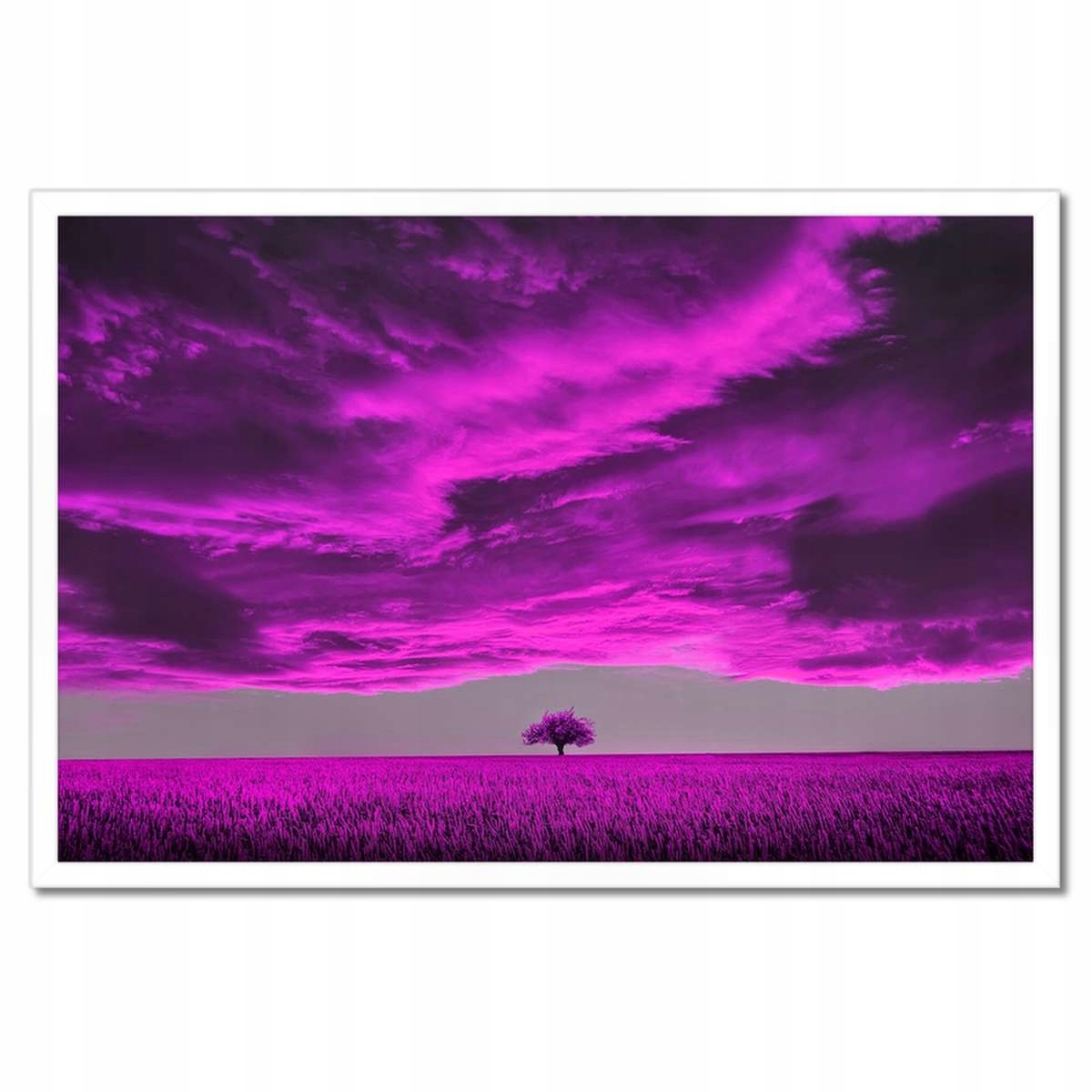 Plakáty v rámu 60x40 Fialová krajina