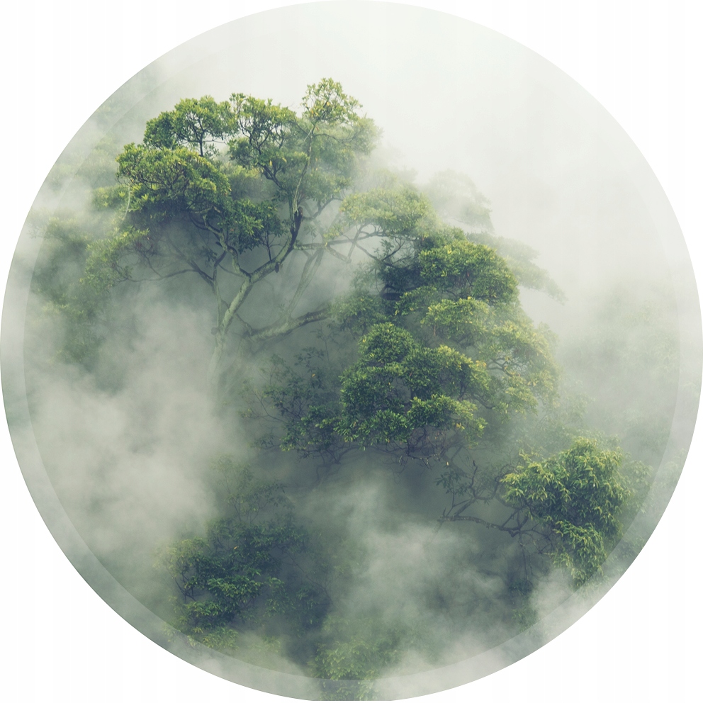 

mata podkładka pod fotel 100fi drzewo las we mgle