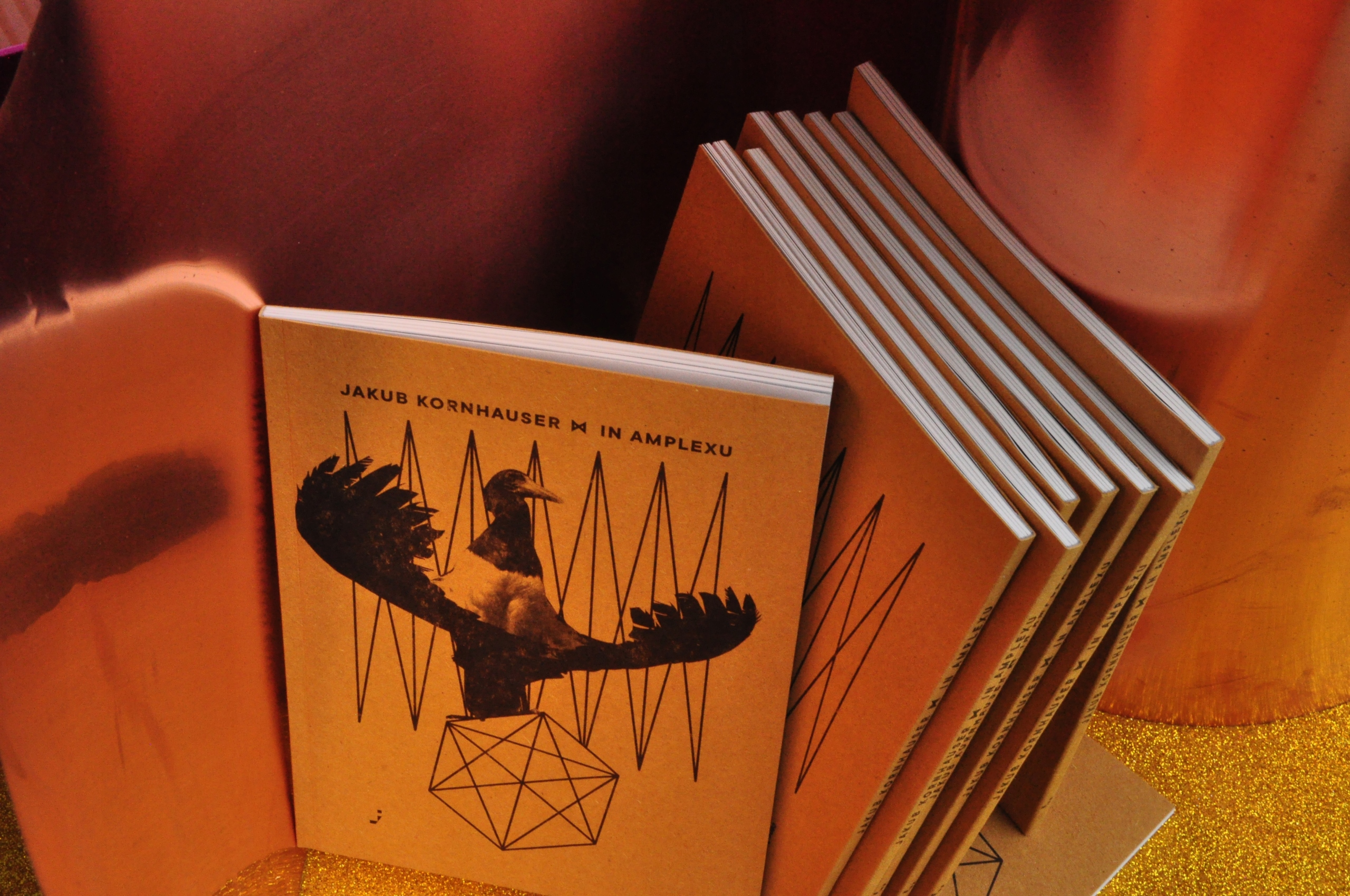 Jakub Kornhauser, In amplexu Rok wydania 2022